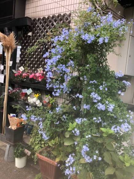 「フラワーショップ　木野花」　（東京都目黒区）の花屋店舗写真1